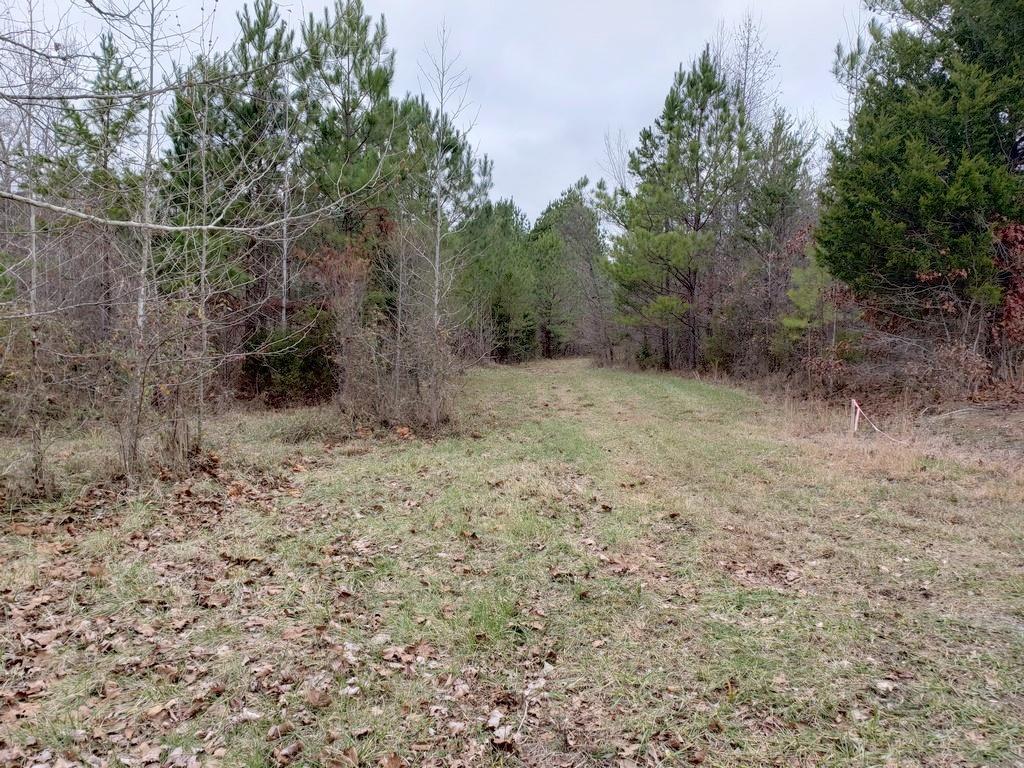 187 & 188 Decatur, TN 37322 - Photo 23 of 35 20191202_114234