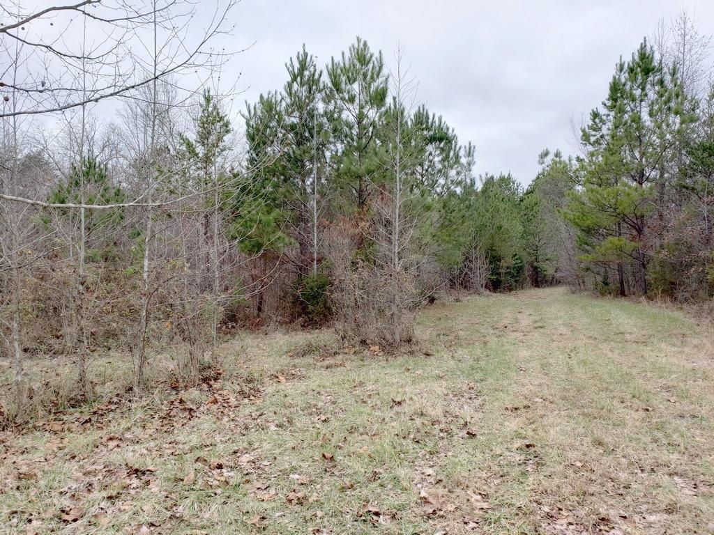 187 & 188 Decatur, TN 37322 - Photo 24 of 35 20191202_114241