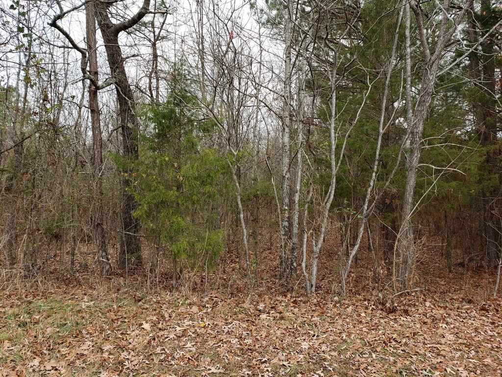 187 & 188 Decatur, TN 37322 - Photo 25 of 35 20191202_114339
