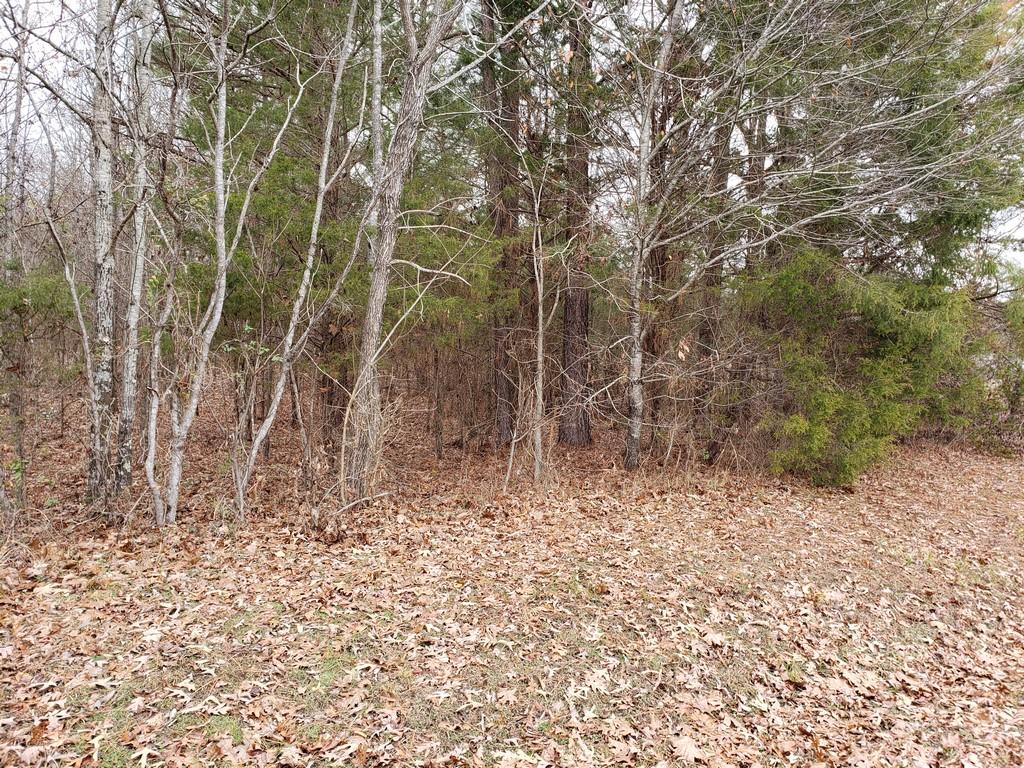 187 & 188 Decatur, TN 37322 - Photo 26 of 35 20191202_114341