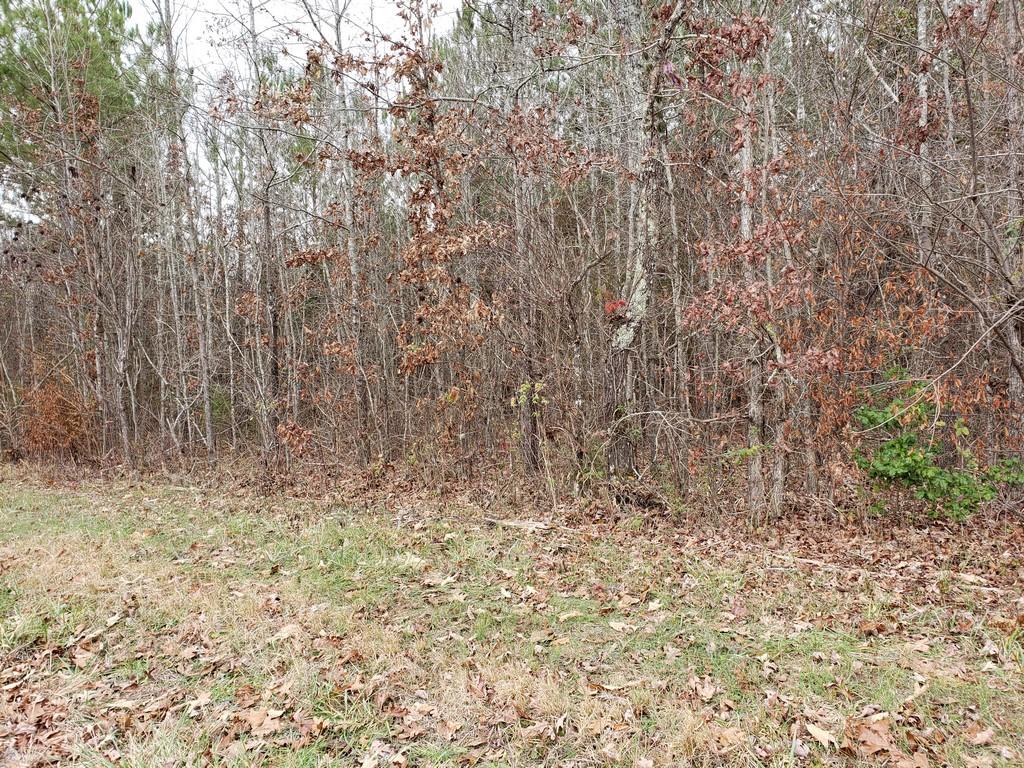 187 & 188 Decatur, TN 37322 - Photo 27 of 35 20191202_114705