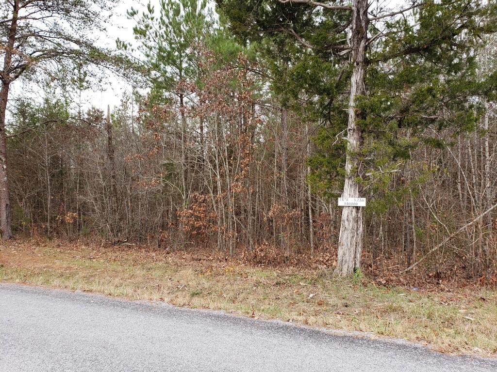 187 & 188 Decatur, TN 37322 - Photo 28 of 35 20191202_114720