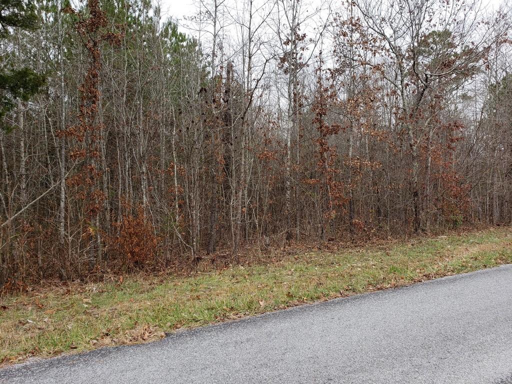 187 & 188 Decatur, TN 37322 - Photo 30 of 35 20191202_114724