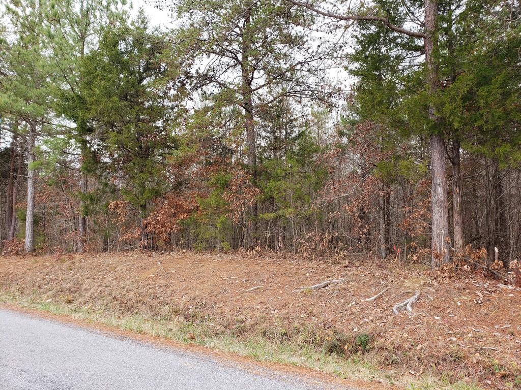 187 & 188 Decatur, TN 37322 - Photo 31 of 35 20191202_114744