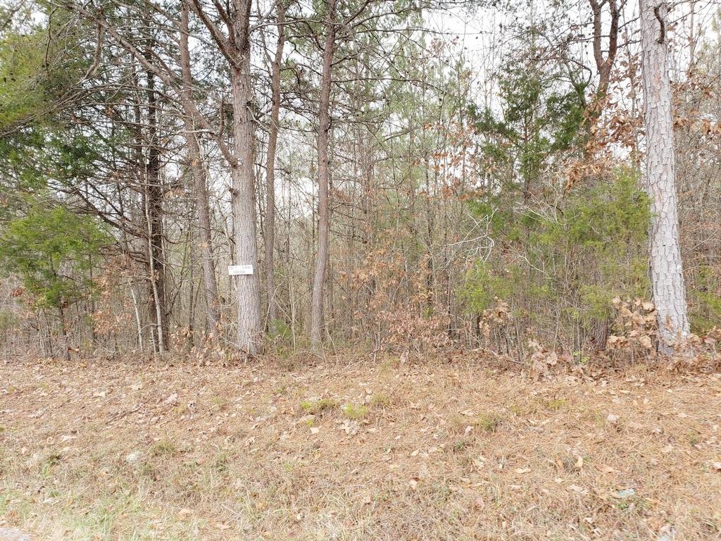 187 & 188 Decatur, TN 37322 - Photo 32 of 35 20191202_114801