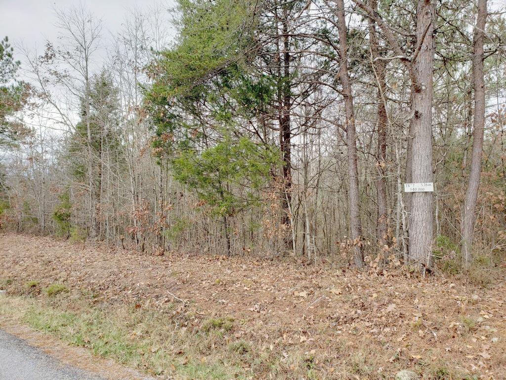 187 & 188 Decatur, TN 37322 - Photo 33 of 35 20191202_114808