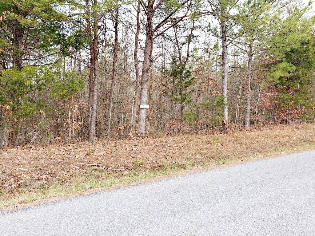 187 & 188 Decatur, TN 37322 - Photo 34 of 35 20191202_114817