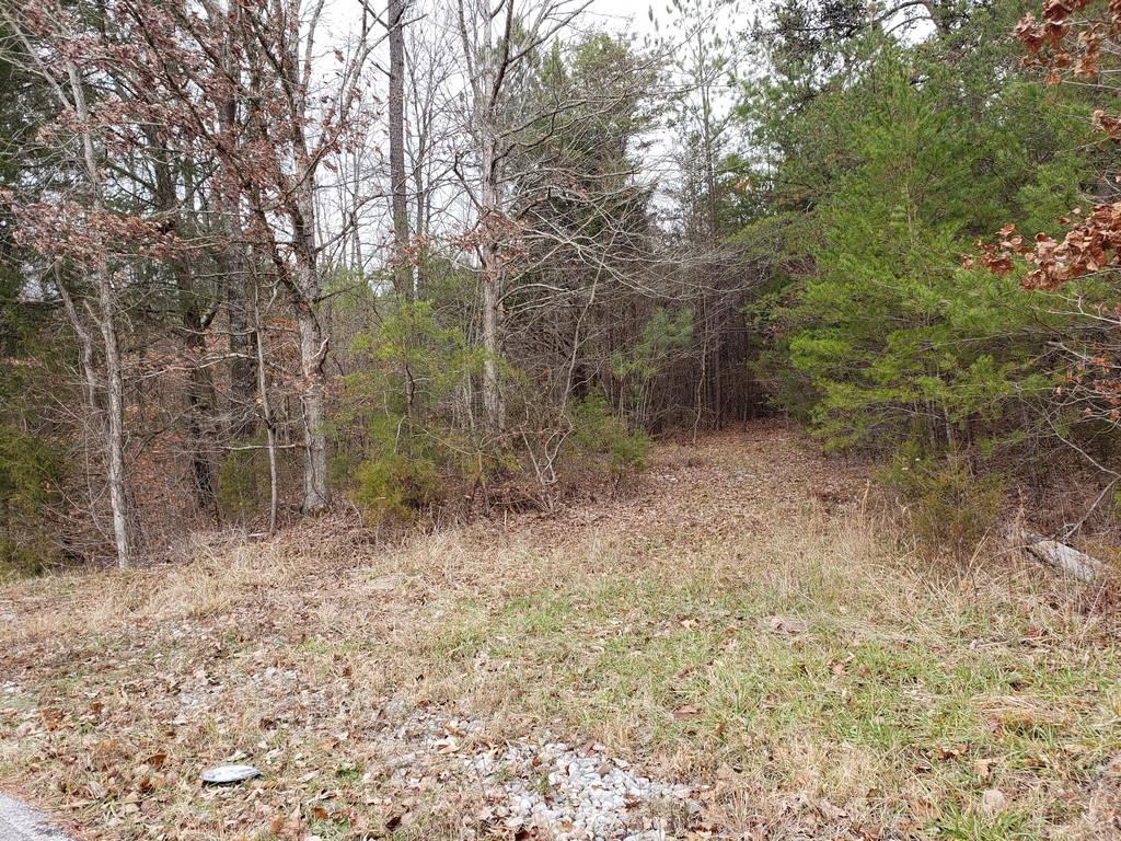 187 & 188 Decatur, TN 37322 - Photo 7 of 35 20191202_113734