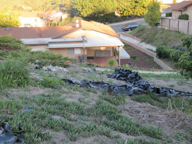 1355 Panorama Ridge Road Oceanside, CA 92056 - Photo 23 of 25 Extra large lot with sloped bank beyond backyard with a few fruit trees