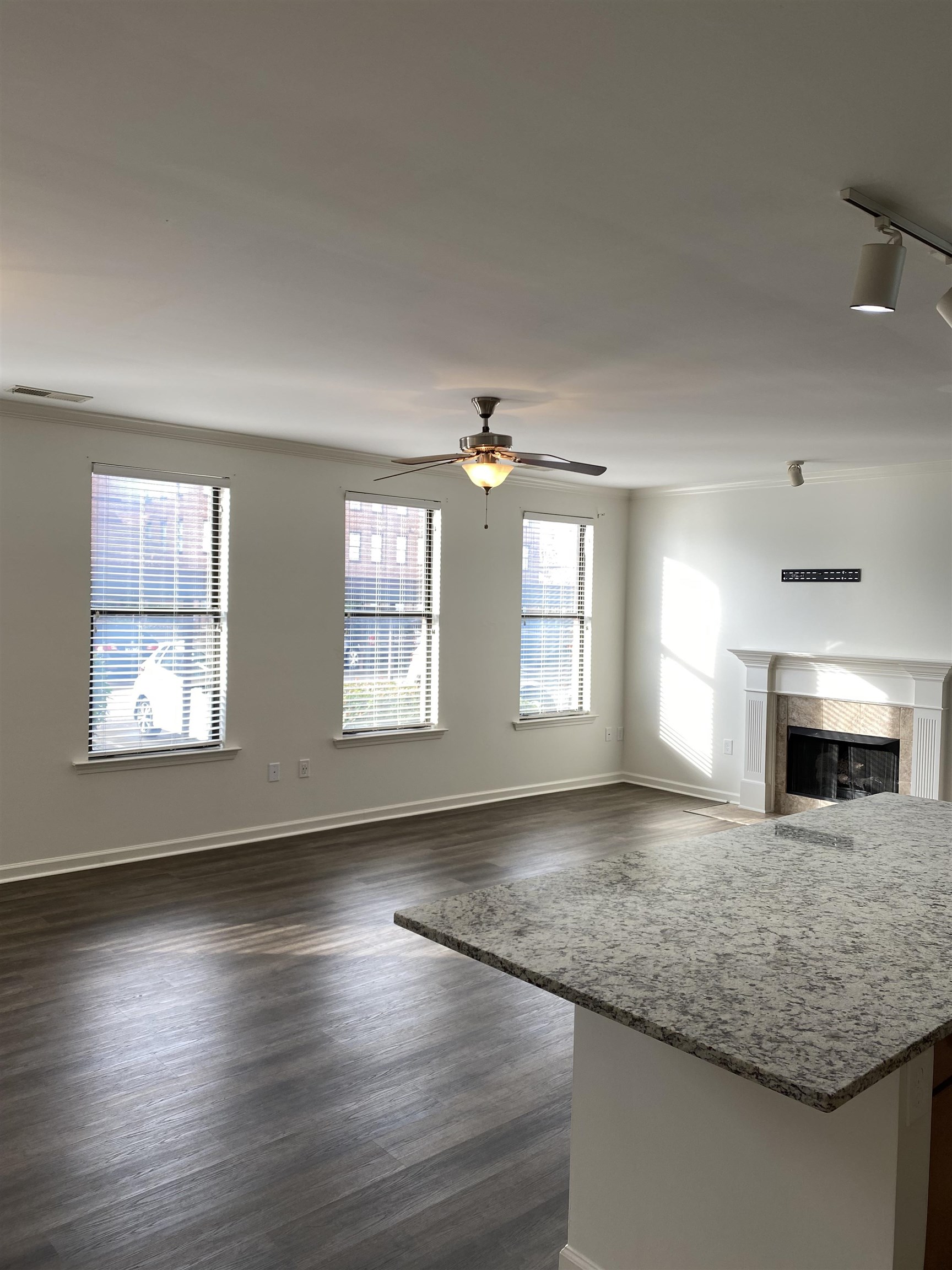 730 Litty Court, Unit 101 Memphis, TN 38103 - Photo 2 of 22 an empty room with wooden floor fireplace and windows