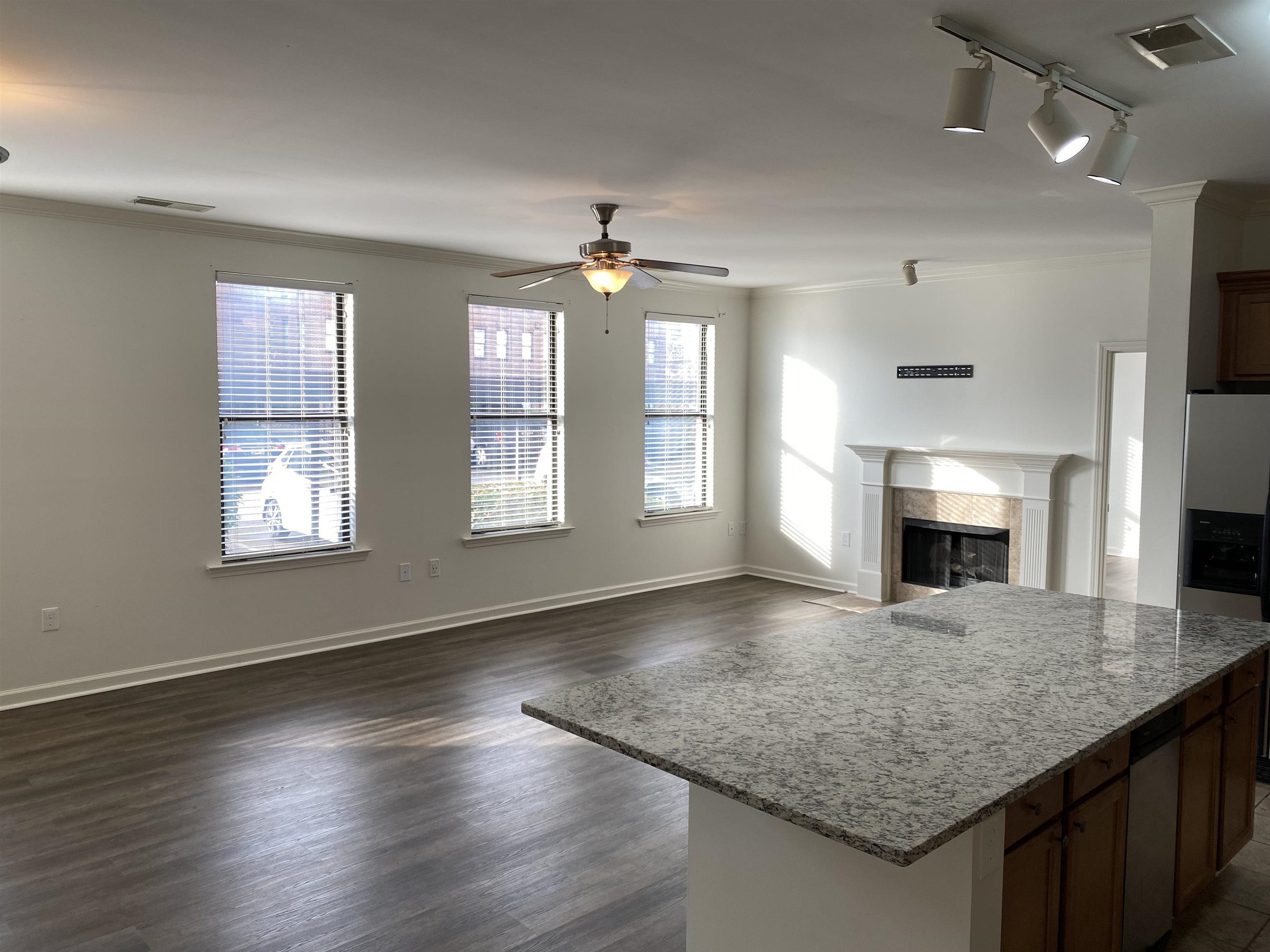 730 Litty Court, Unit 101 Memphis, TN 38103 - Photo 7 of 22 an empty room with wooden floor fireplace and windows