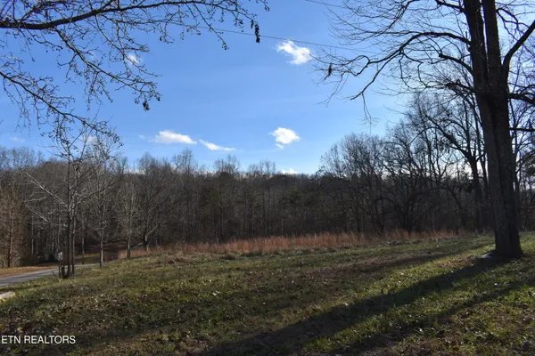 $55,259 | 40-41 Bark Lane, Speedwell, TN 37870