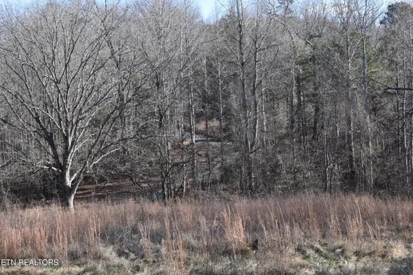 $55,259 | 40-41 Bark Lane, Speedwell, TN 37870