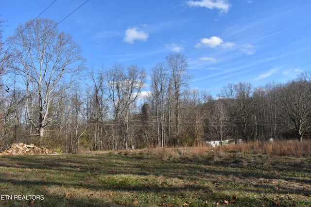 $55,259 | 40-41 Bark Lane, Speedwell, TN 37870