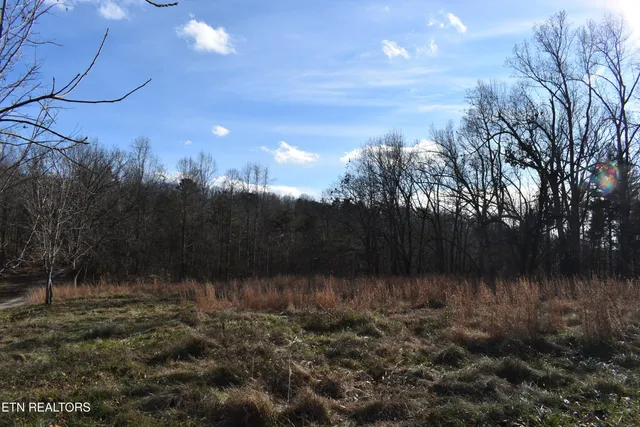 $55,259 | 40-41 Bark Lane, Speedwell, TN 37870