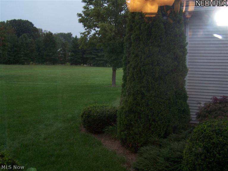 7942 Hartman Road Wadsworth, OH 44281 - Photo 18 of 19
