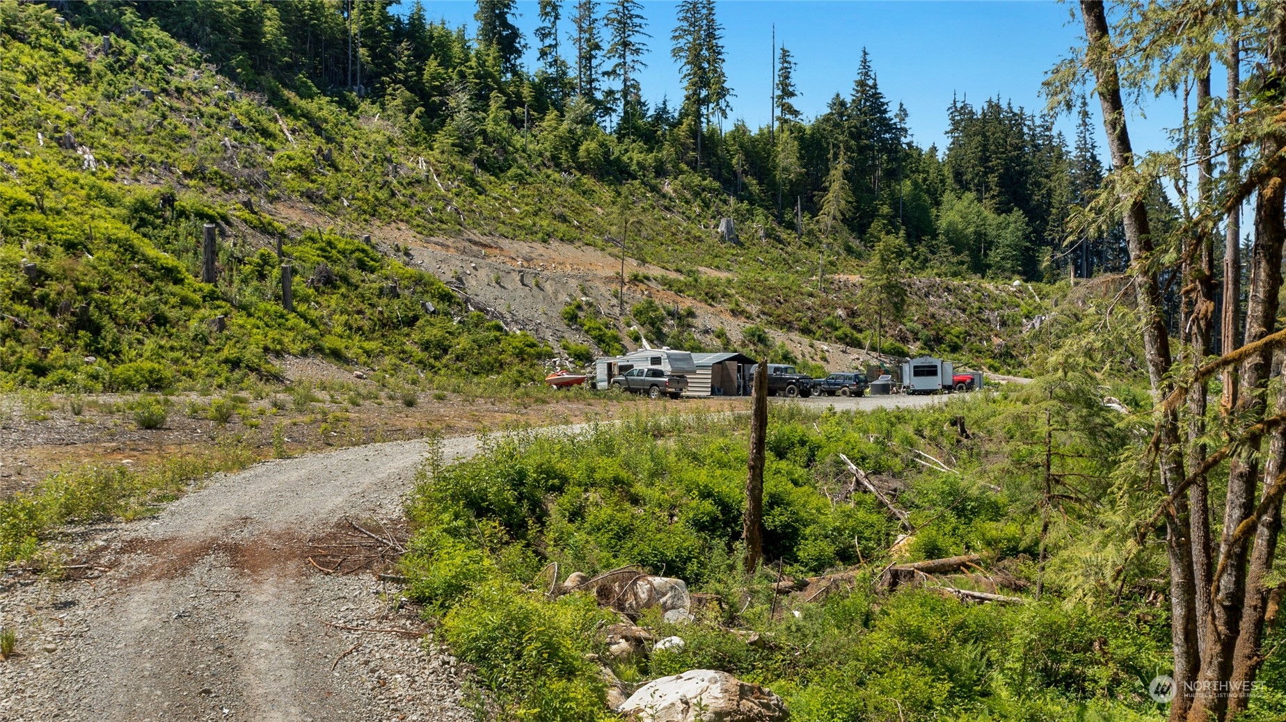 a view of a yard with plants and a trees
