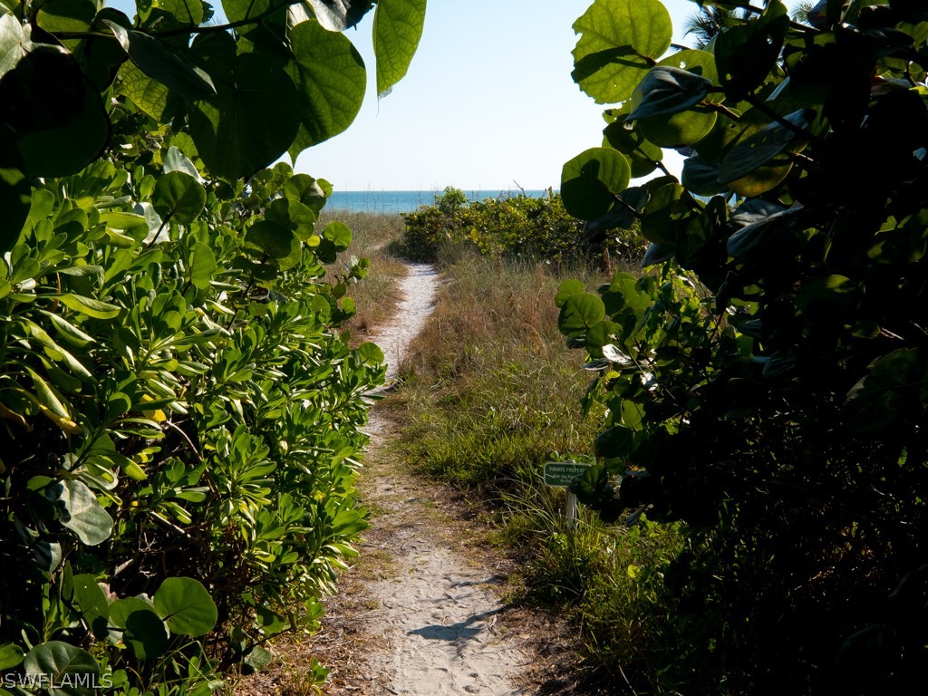 671 Rabbit Road Sanibel, FL 33957 - Photo 48 of 50 a picture of flowers