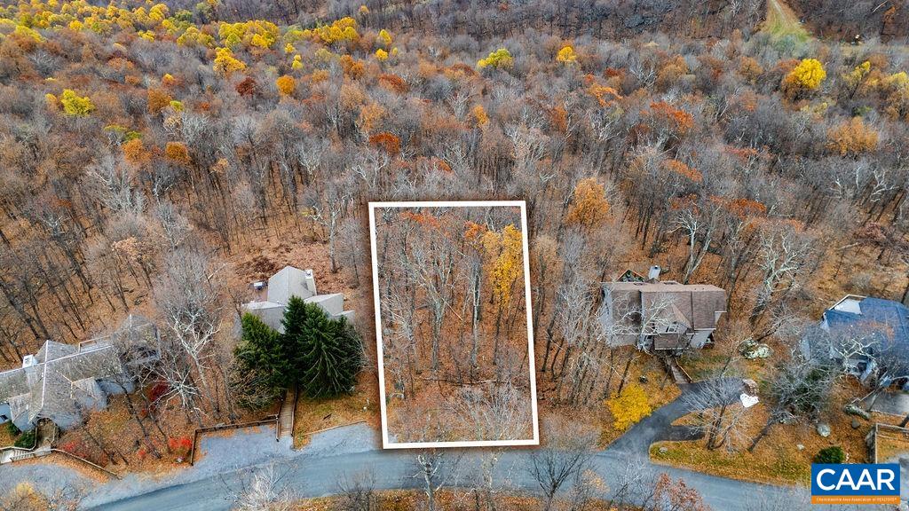 341 Chestnut Place Roseland, VA 22967 - Photo 5 of 14 view of outdoor space and yard