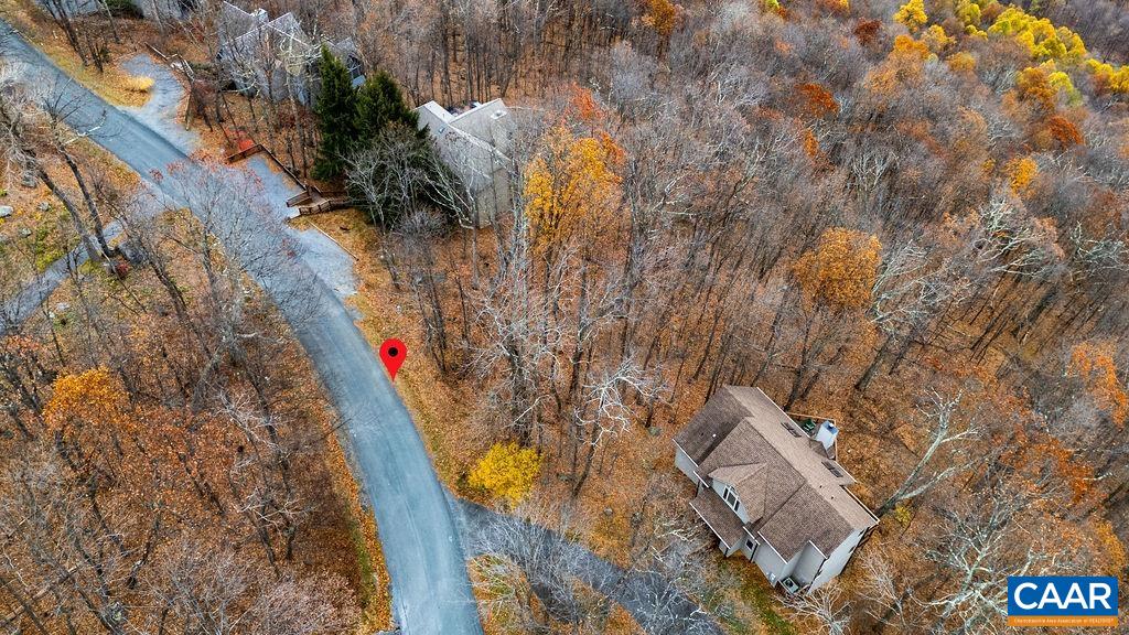 341 Chestnut Place Roseland, VA 22967 - Photo 7 of 14