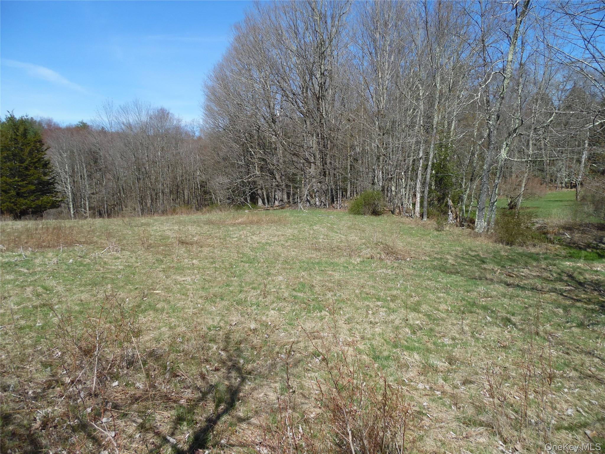 Creamery Road Bethel, NY 12720 - Photo 2 of 5 View of yard featuring a view of rural / pastoral area