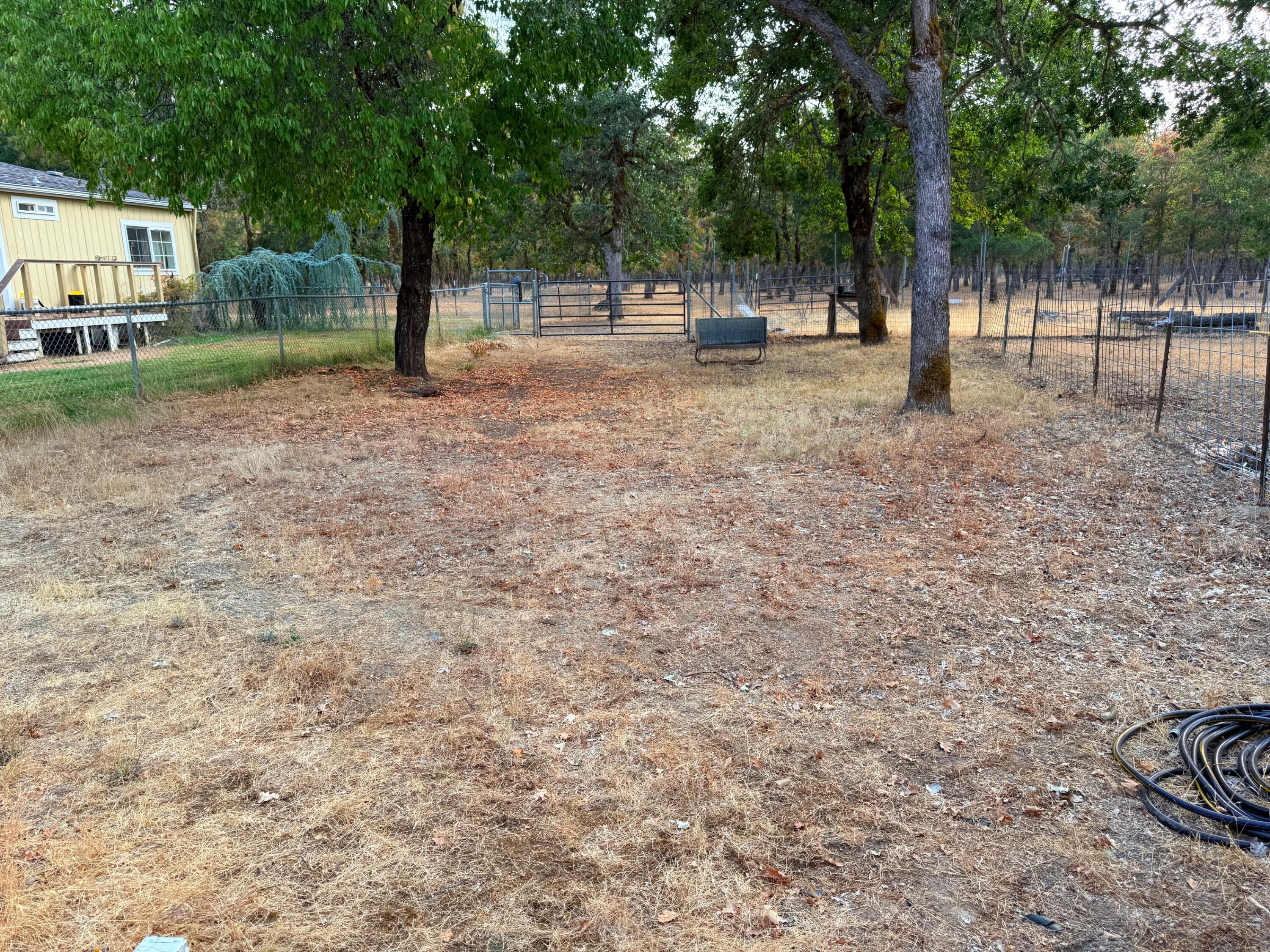 1800 Dick George Road Cave Junction, OR 97523 - Photo 25 of 37 fenced corral area behind barn