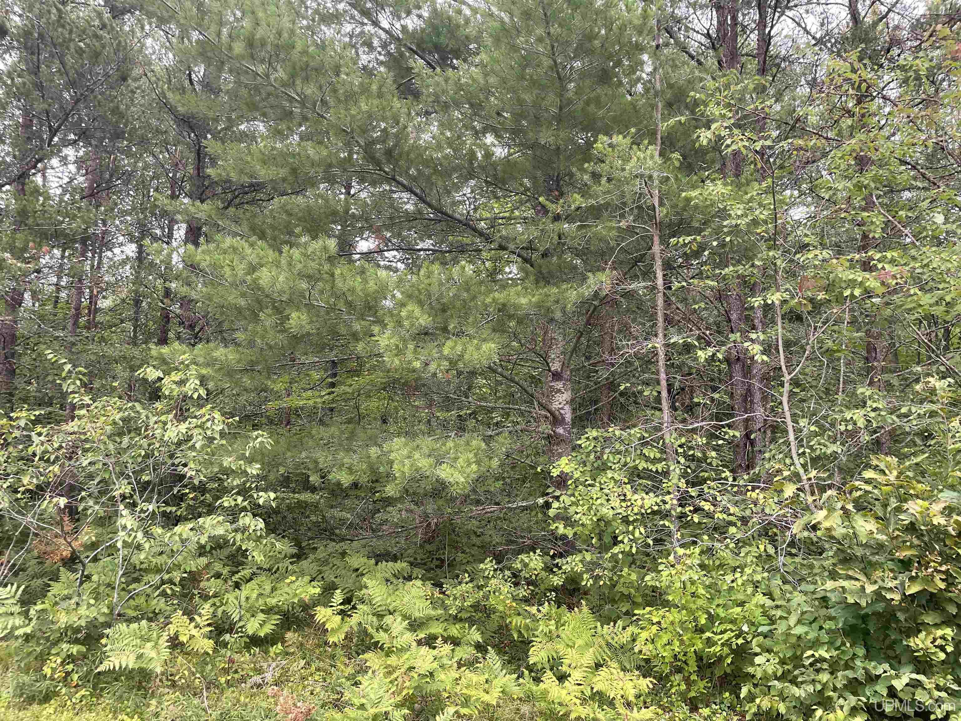 456 North Rd Little Lake Little Lake, MI 49833 - Photo 15 of 29