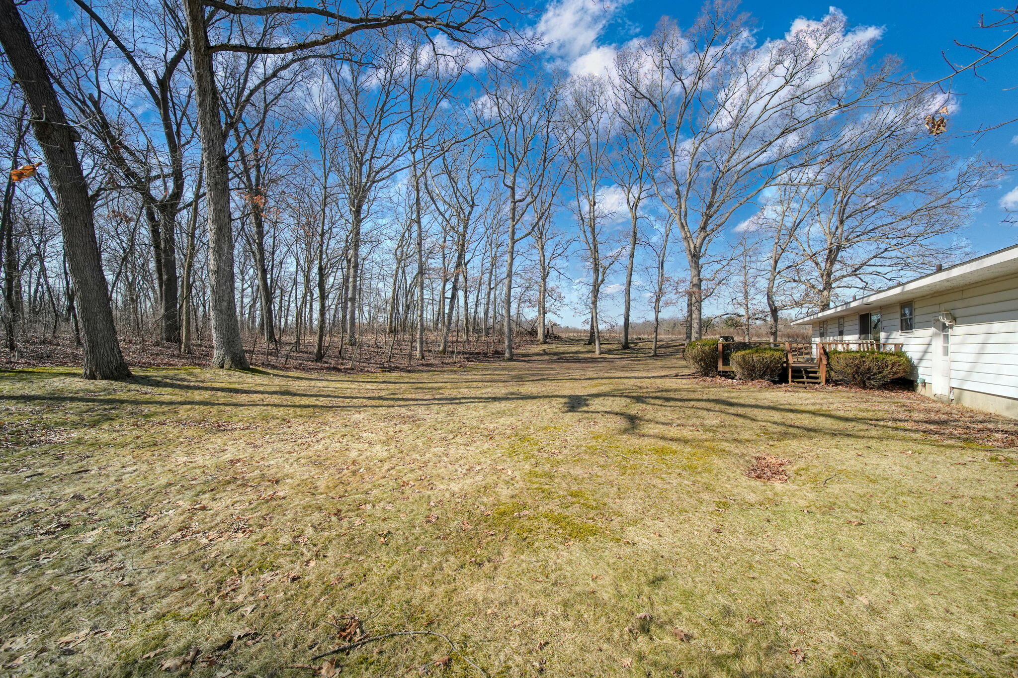 13261 Sager Road Grass Lake, MI 49240 - Photo 25 of 27 Backyard