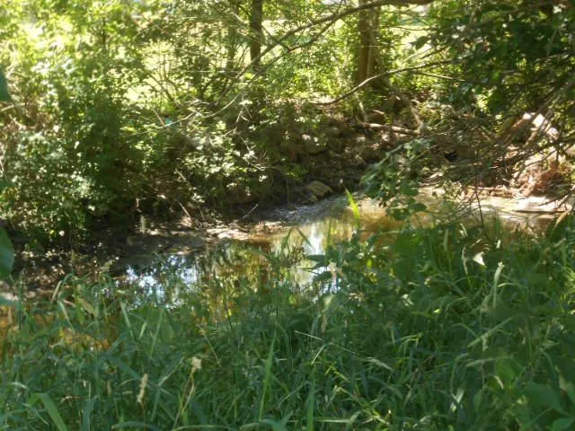 $20,000 | 6-th 6-th Crn 17th St/6th Avenue, Windom, MN 56101