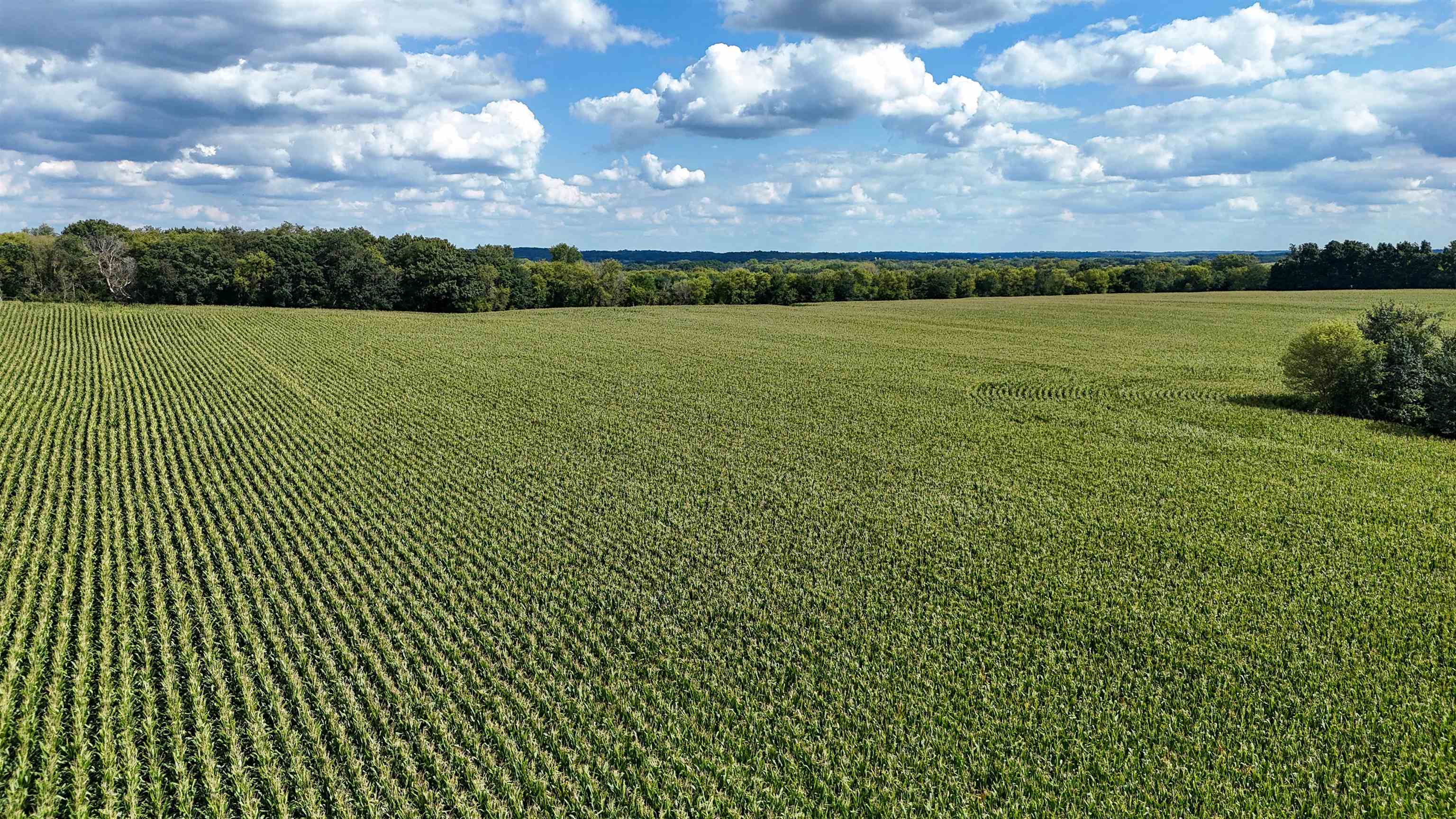 Lot 3 County Road X Clinton, WI 53525 - Photo 8 of 9