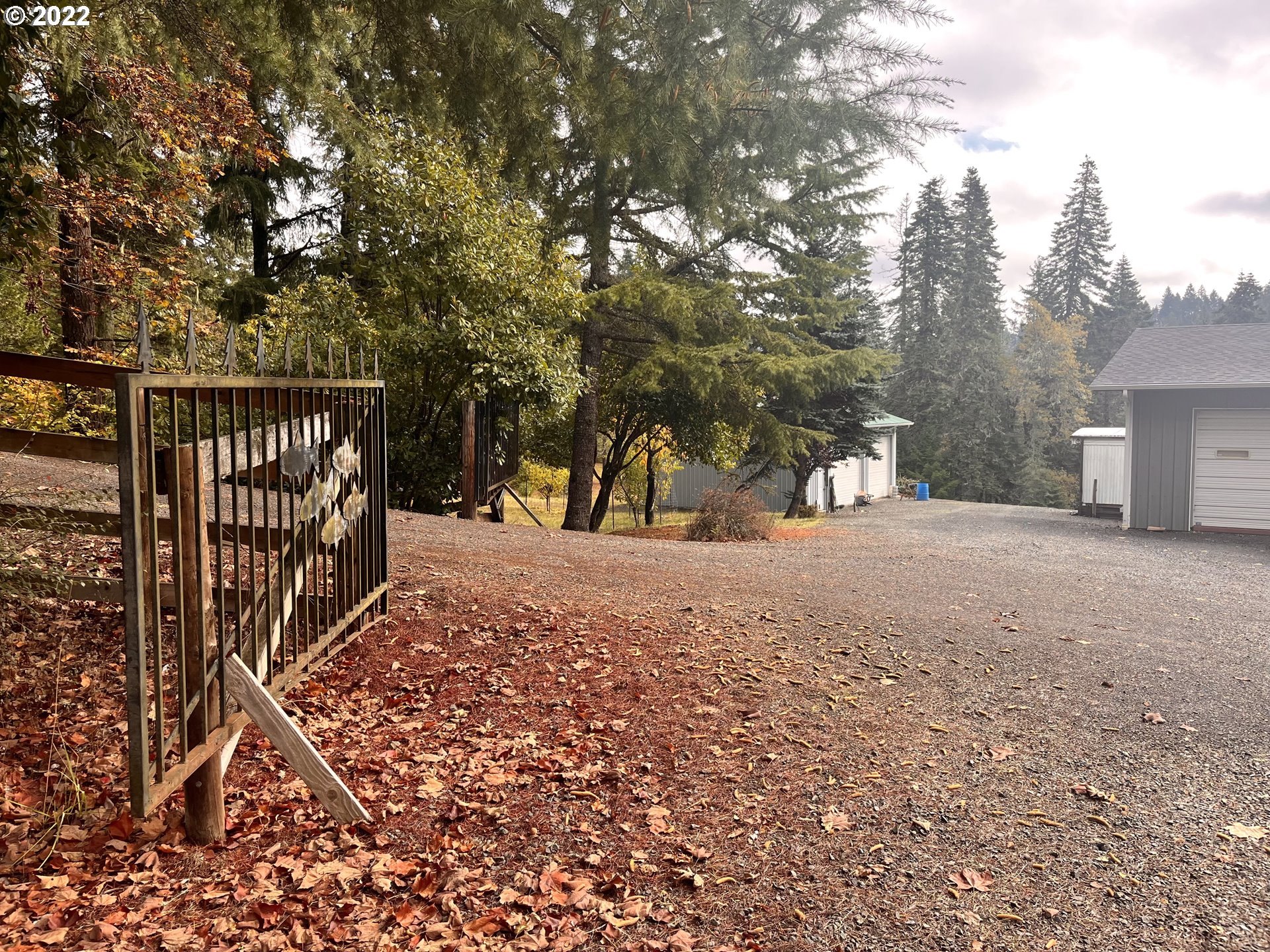 29926 Hamm Road Eugene, OR 97405 - Photo 12 of 22 Gallery Image 12