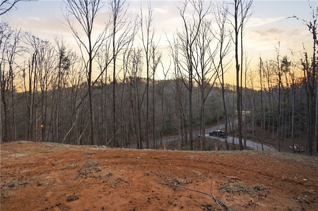 Lot 13 Hideaway Hill Way Landrum, SC 29356 - Photo 5 of 17 This scenic lot offers a tranquil setting with natural surroundings and a private road.