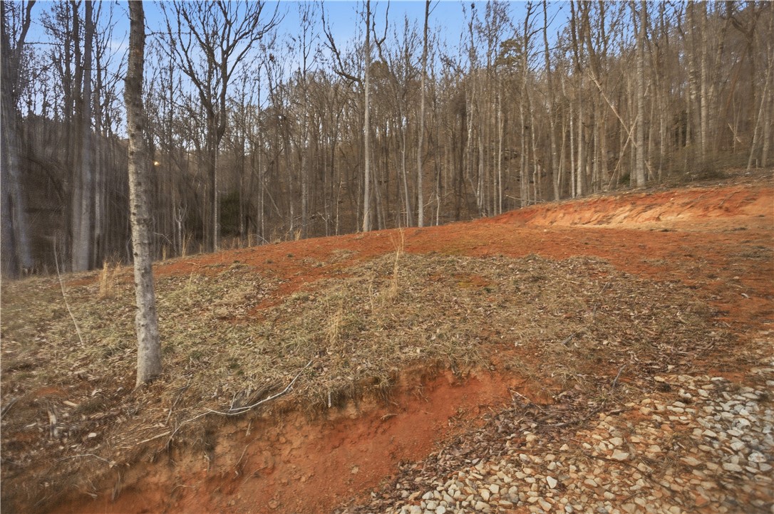 Lot 13 Hideaway Hill Way Landrum, SC 29356 - Photo 6 of 17 This serene wooded lot offers ample space to craft your perfect private retreat.