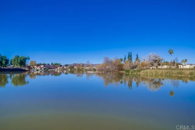 a view of lake and trees