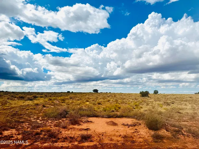 a view of a lake and mountain