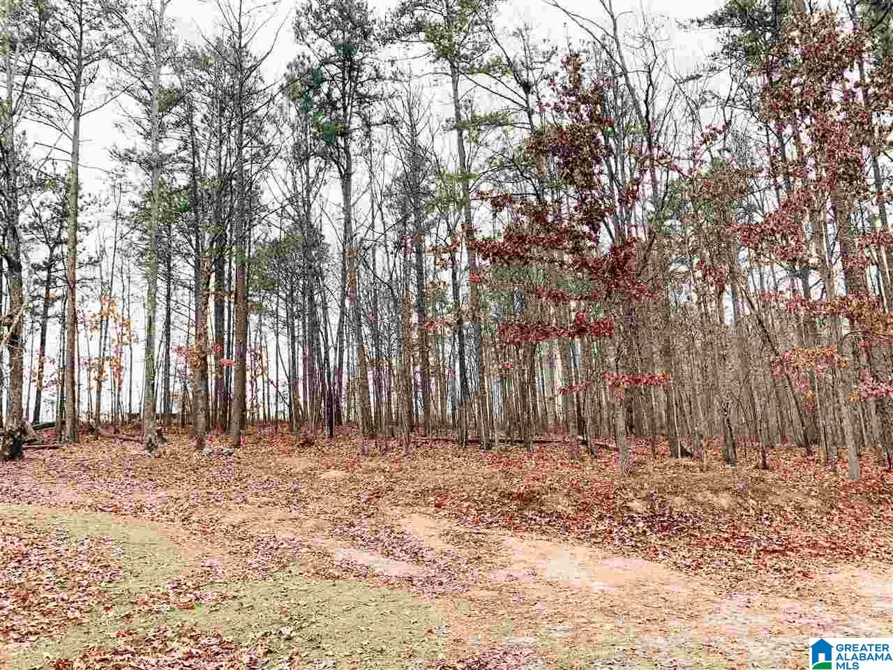 1819 Noah Valley Road Jacksonville, AL 36265 - Photo 2 of 14