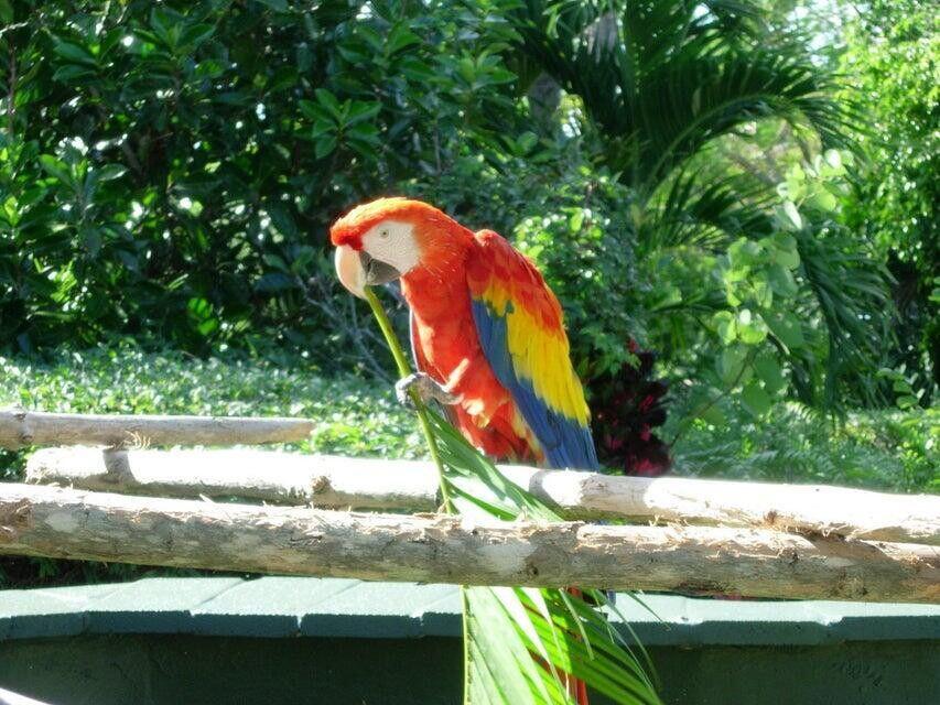 5440 North Ocean Drive, Unit 1502 Singer Island, FL 33404 - Photo 34 of 34 a view of a park with large trees