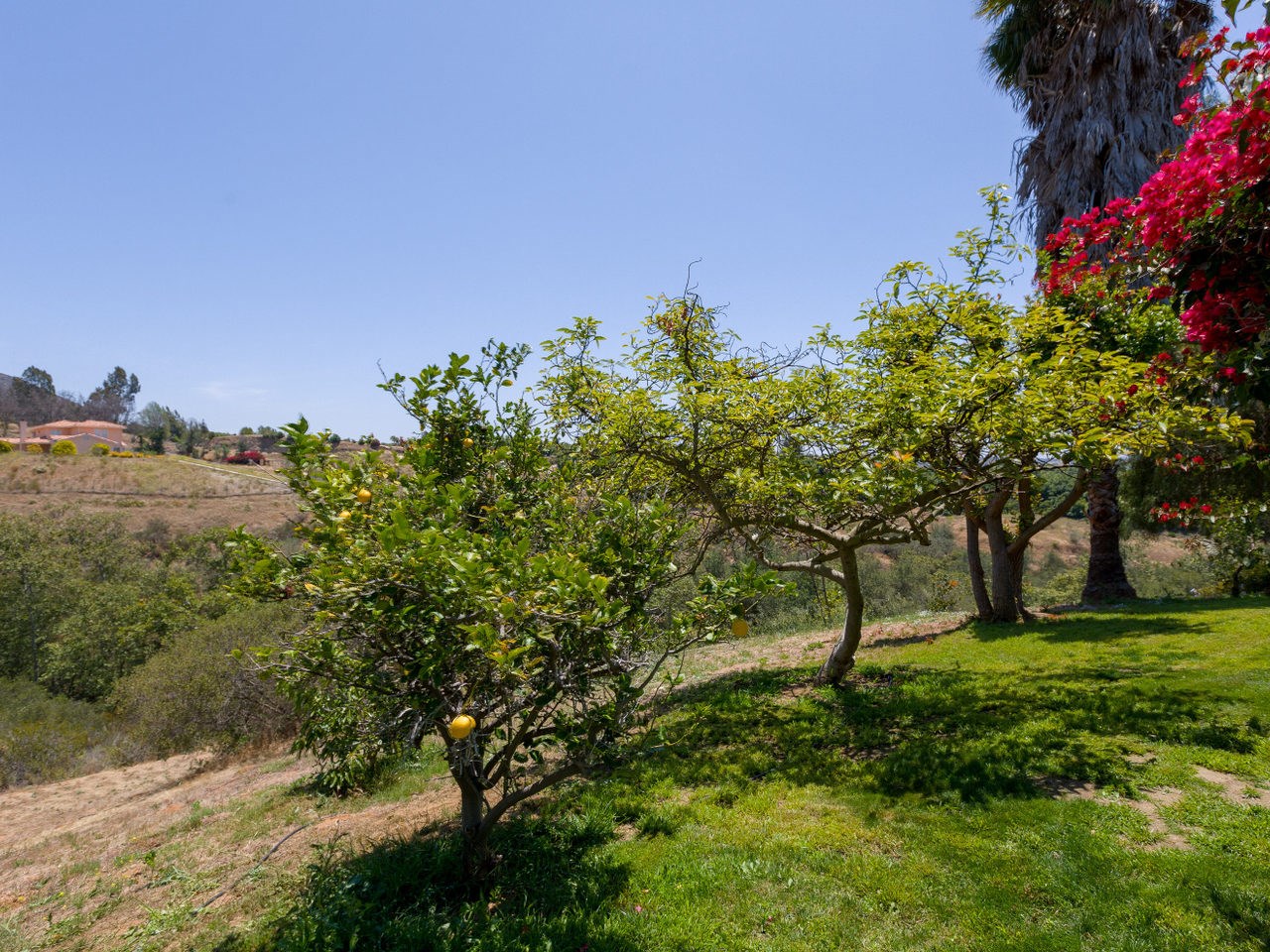 40229 Vía Ranchitos Fallbrook, CA 92028 - Photo 22 of 25