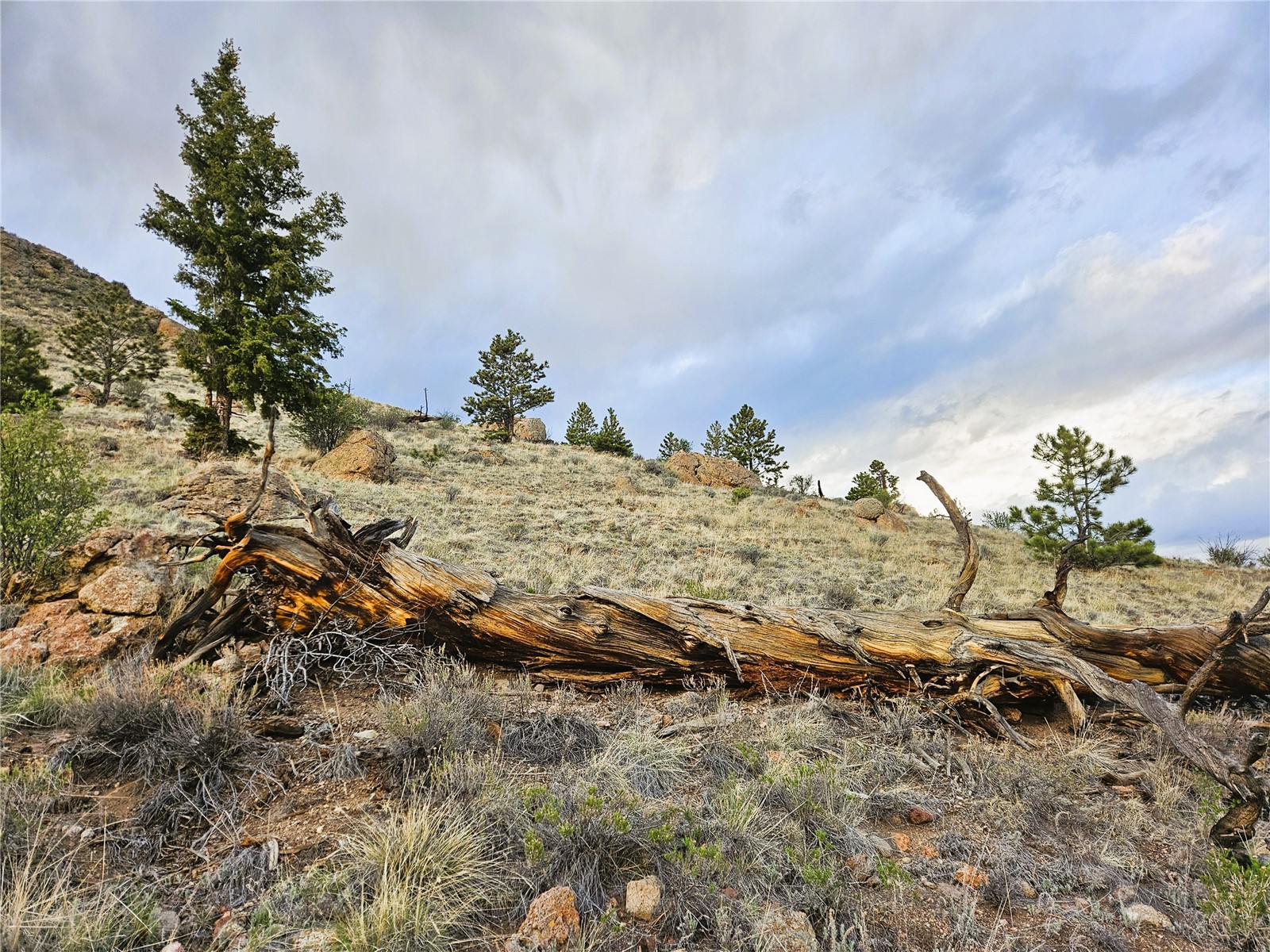 Pcs#25468 Sioux Road Hartsel, CO 80449 - Photo 4 of 23