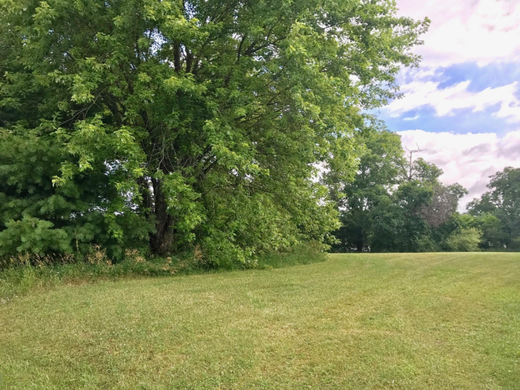 Lot 34 Findley Road Sturgis, MI 49091 - Photo 5 of 7 FullSizeRender (5)