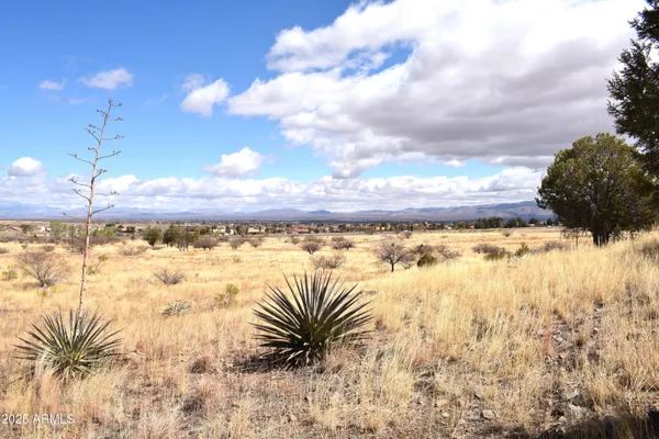 $55,000 | Lot 009 South P S One More Road, Hereford, AZ 85615