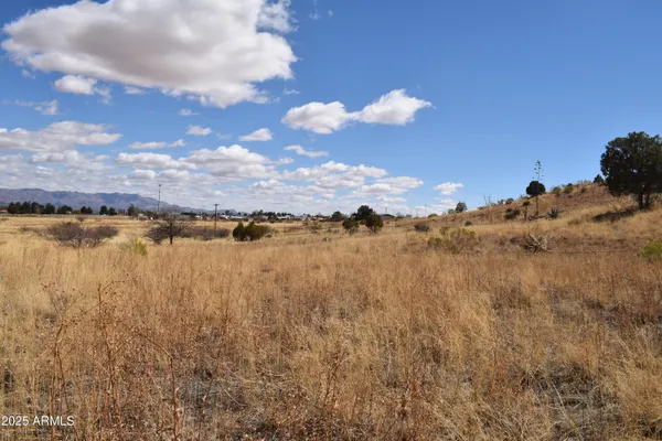 $55,000 | Lot 009 South P S One More Road, Hereford, AZ 85615