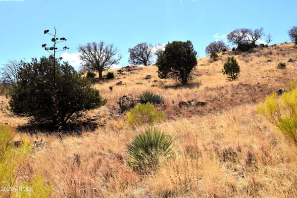 $55,000 | Lot 009 South P S One More Road, Hereford, AZ 85615