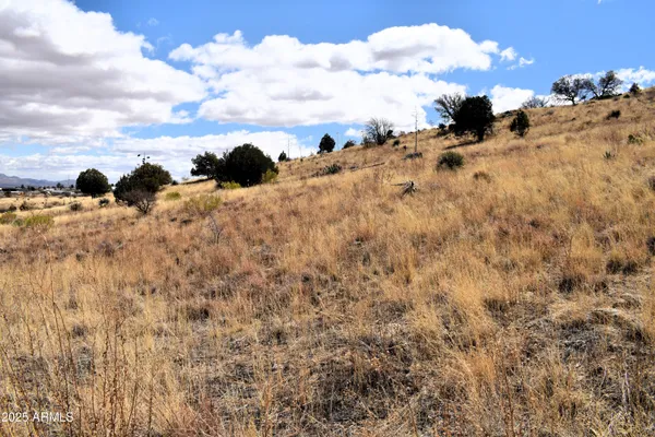 $55,000 | Lot 009 South P S One More Road, Hereford, AZ 85615
