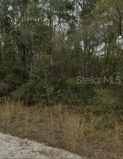 a view of a dry yard