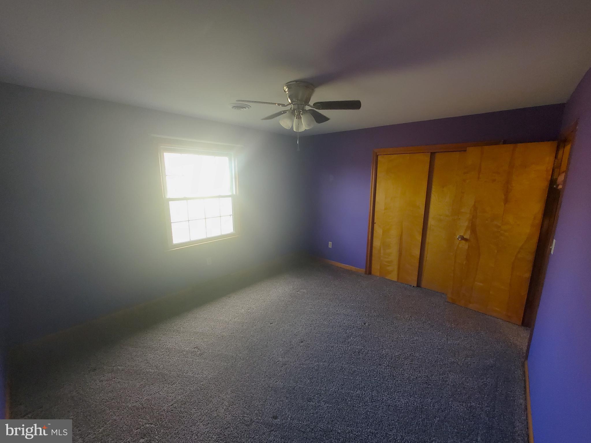 441 Azalea Street Culpeper, VA 22701 - Photo 20 of 41 Gallery Image 20