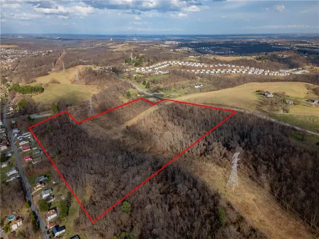 a view of a yard with a pathway