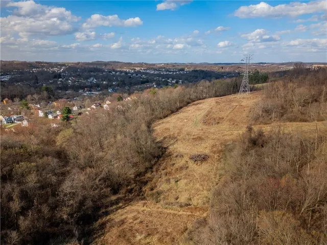 a view of a dry yard