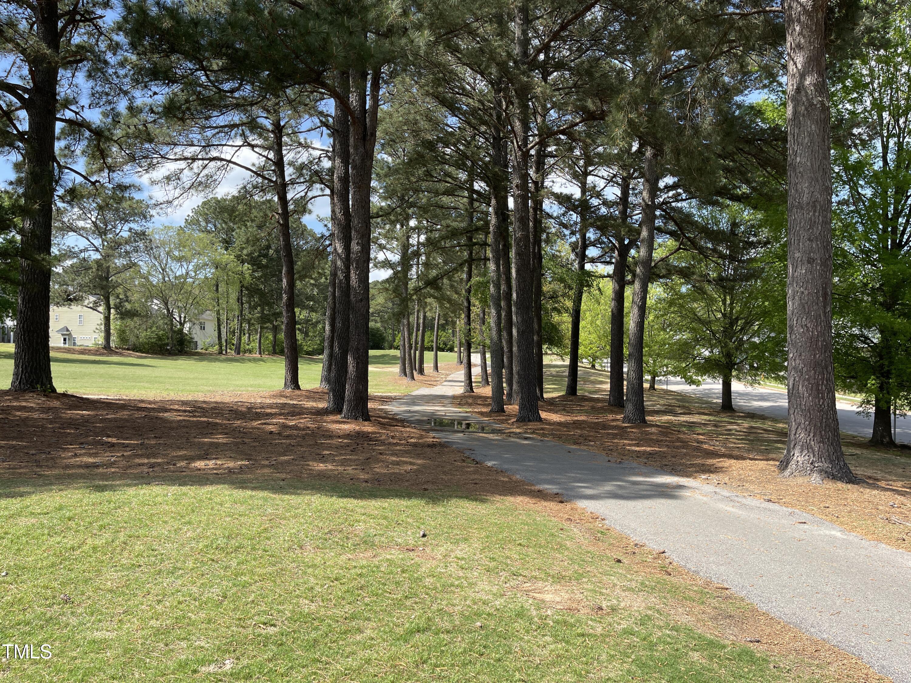 2041 Metacomet Way Raleigh, NC 27604 - Photo 56 of 67 a view of a yard with trees