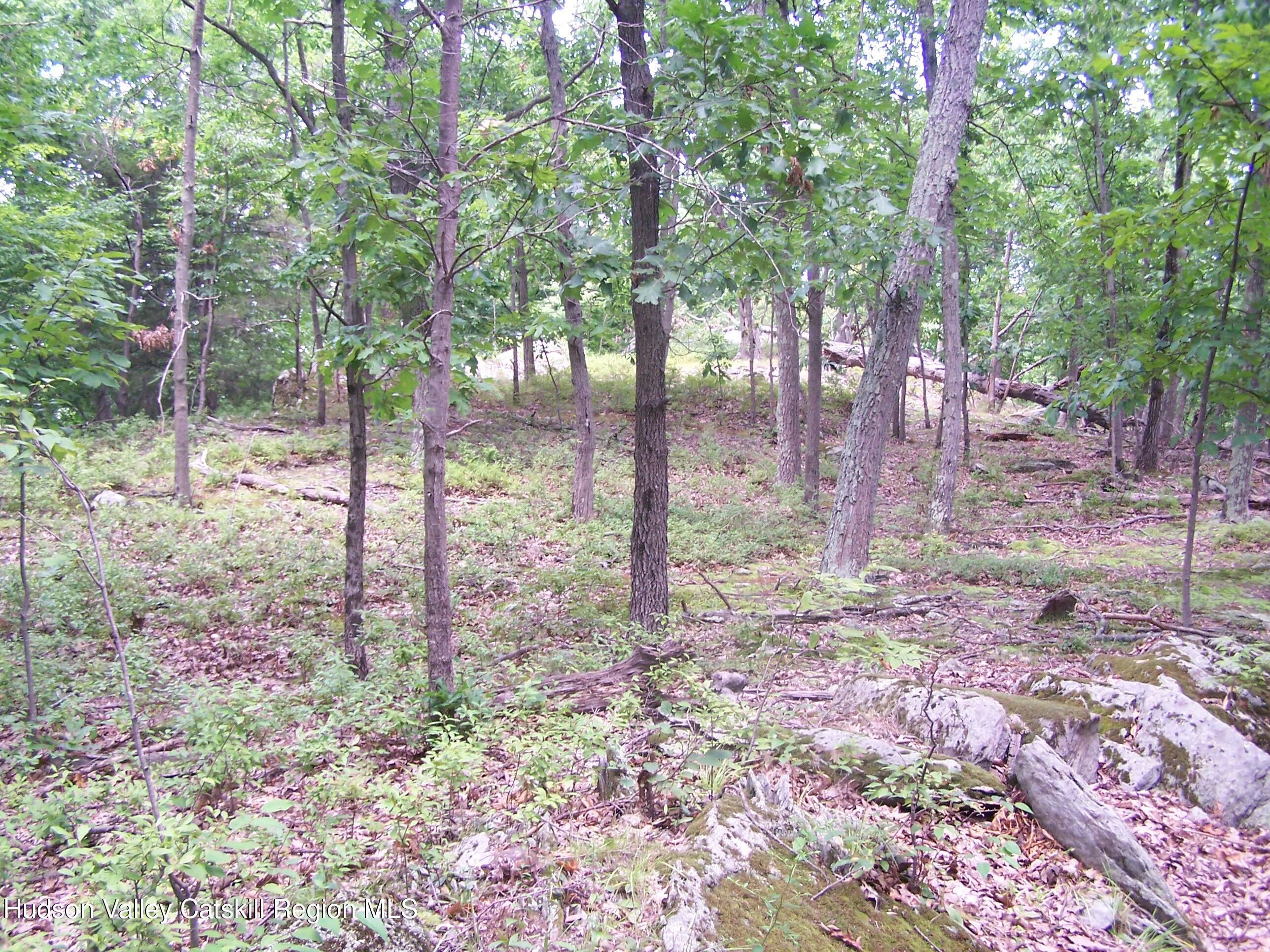 Tbd Bellevue Road Highland, NY 12528 - Photo 13 of 35 bl12